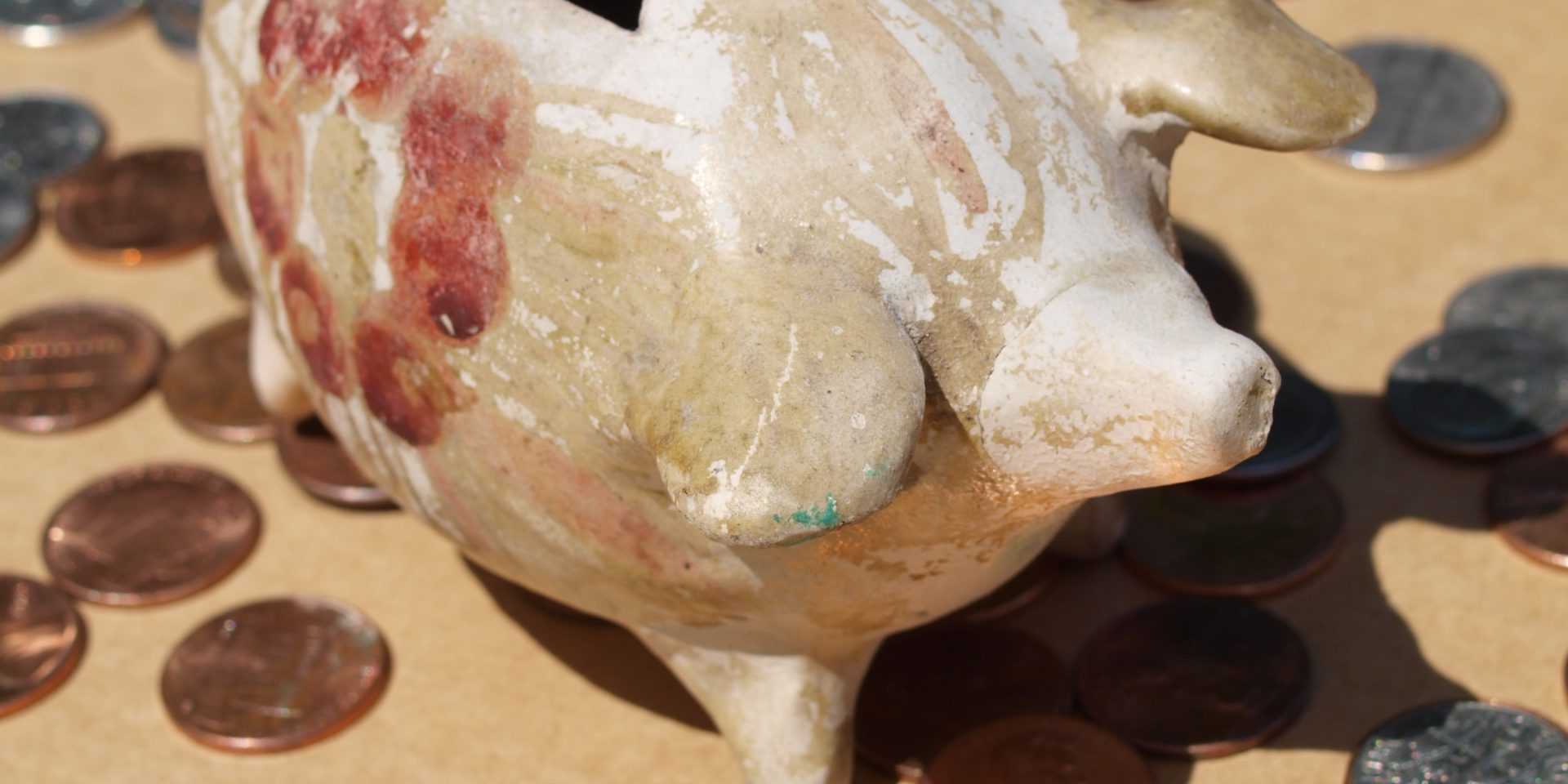 diane-helentjaris-5f1RsK-pyZQ-unsplash (1)