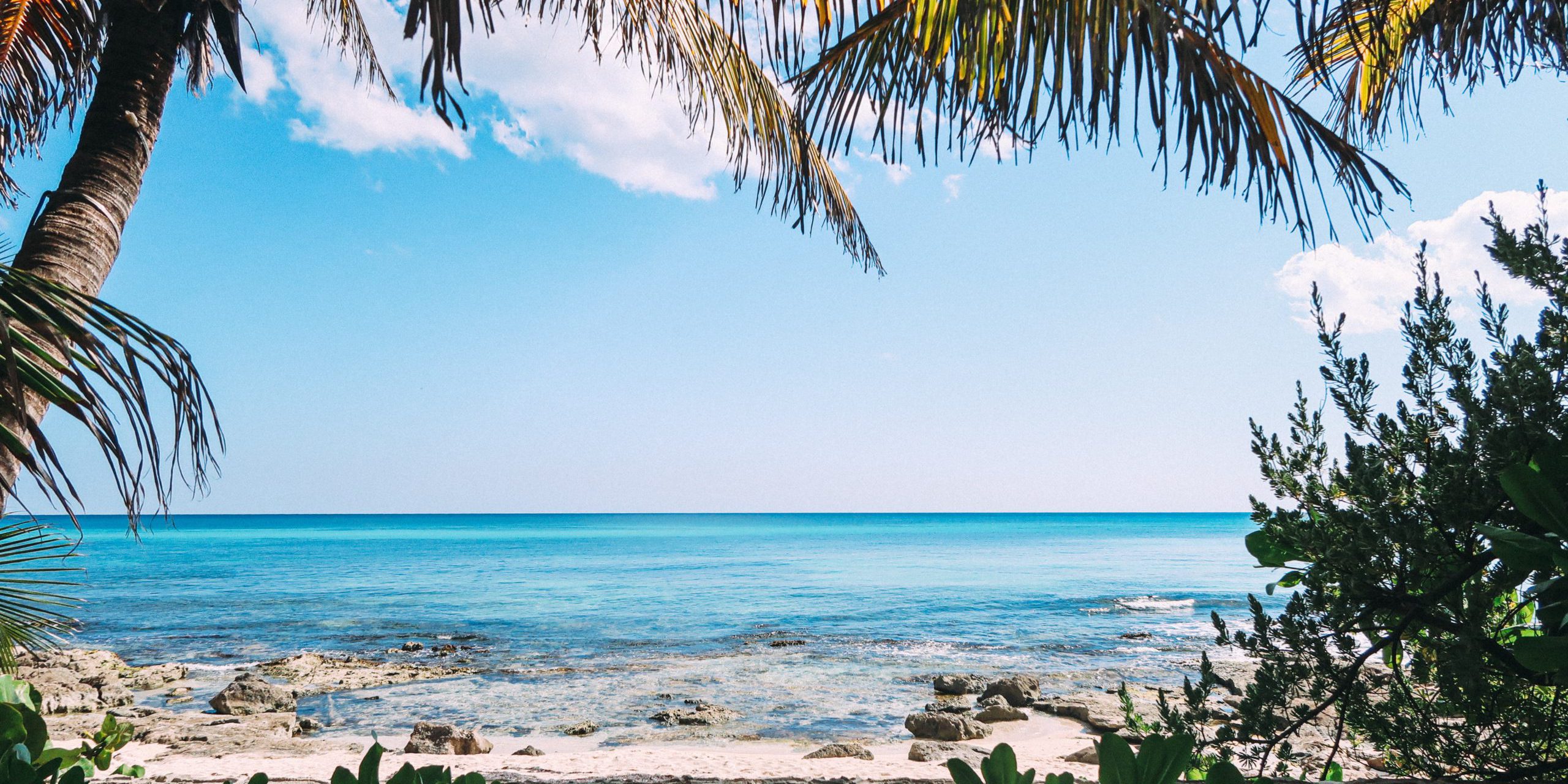 fabio-fistarol-P89LffAnja8-unsplash